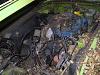 RX-2 rescued-img_2286.jpg