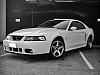 Best Way To Fix  A Mustang-cobra-b-w.jpg