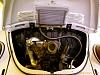 Rotary Beetle Update-image_00249-1.jpg
