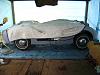 Bugeye update-a1001.jpg