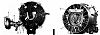 Looking for Sachs Rotary engine-wankell.jpg