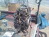 74 repu.. sevenstock 14 or bust!-0320011159.jpg