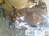 74 repu.. sevenstock 14 or bust!-0409011424.jpg