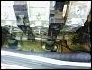 Rotary in a watercraft?-picture-091.jpg