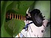 Rx-3 Race Car build-forumrunner_20141207_185455.jpg