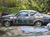 The Furry 4-rx4-3.jpg