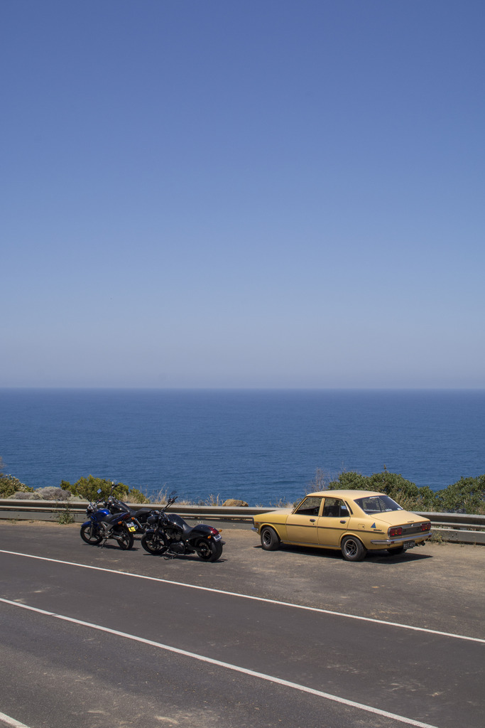 Name:  DSC_8116.jpg
Views: 1166
Size:  140.0 KB