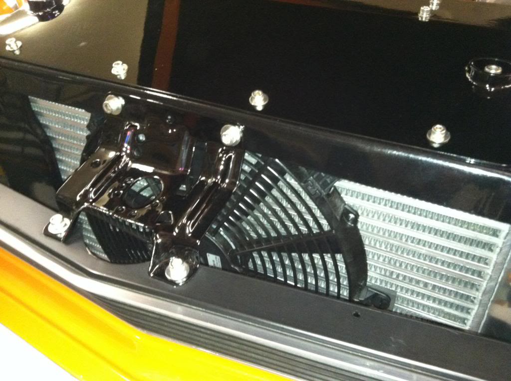 Name:  IMG_0280_zps0377bb40.jpg
Views: 376
Size:  97.4 KB