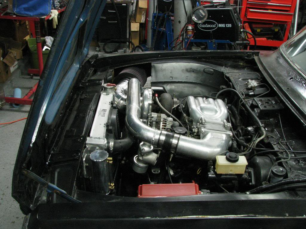 Name: IMG_0384_zps5cd5fae3.jpg
Views: 461
Size: 121.1 KB