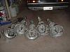 Rib case Trannies-trannies-front.jpg