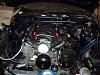 What's in YOUR engine bay?-engine-bay.jpg
