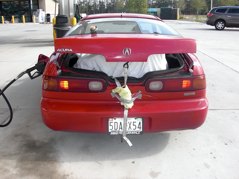 Name:  tn_florida050.jpg
Views: 480
Size:  88.9 KB