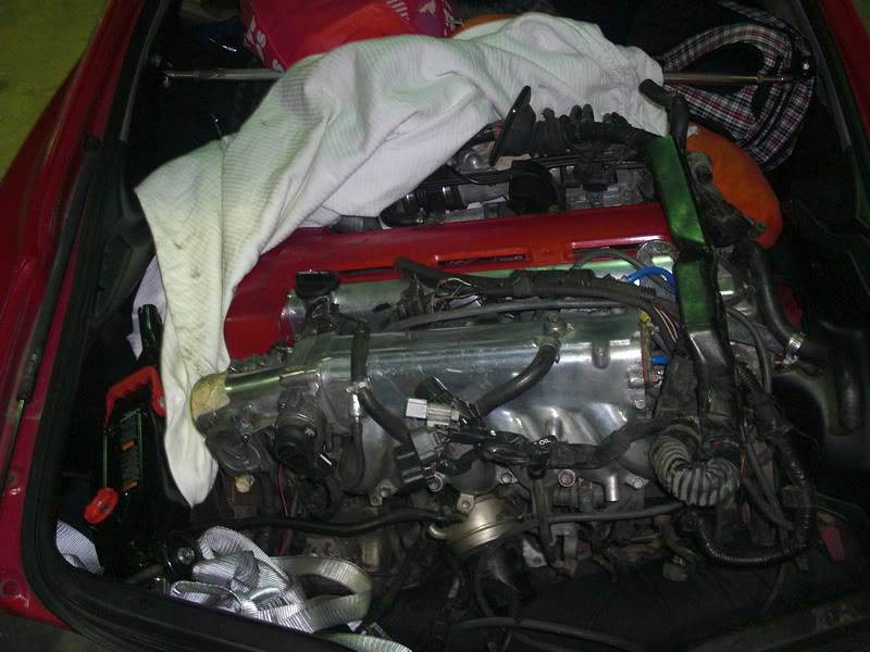 Name:  tn_florida053.jpg
Views: 489
Size:  80.2 KB