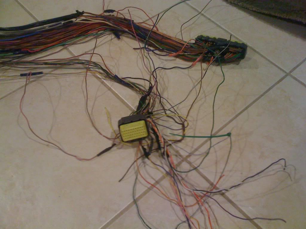 Name:  IMG_0038.jpg
Views: 1258
Size:  87.7 KB
