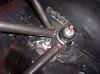 Show Pics of your cages please!-100_0626.jpg