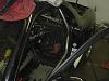 Show Pics of your cages please!-fd_rx70003.jpg