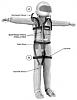 Head and neck restraints, what are the choices?-hutchins_big.jpg