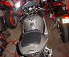 zx10r bashes 600hp vette...see it happen-mybikesbrat.jpg