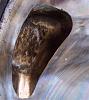 seeee....you CAN port with a chisel!-p2.jpg