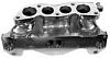 Does anyone make an improved lower intake for the Cosmo 13B_REW-dellorto-lower.jpg