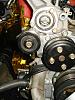 -dsc08721.jpg