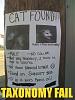 C4 auto to 13b rew quick question-taxonomyfail.jpg