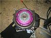 okay the cat is out of d bag-sm11rx4parts-005.jpg