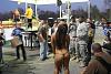 Trip down to MIR for World Cup Finals-speed1.jpg