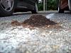 tell how bad this is ...??-hpim0485.jpg