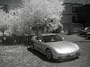Infrared photos+my FD-p1010027.jpg