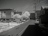 Infrared photos+my FD-p1010026.jpg