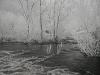 Infrared photos+my FD-p1010033.jpg