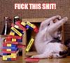 787b Full Length 1991 Le Mans Race-funnycat.jpg