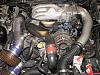 post pics of your engine bay-new-folder-003-small-.jpg
