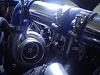 FD vs Viper-copy-dsc05921.jpg