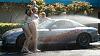 lets see some hot chicks in rx7's-dsc00072a.jpeg