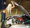 lets see some hot chicks in rx7's-copy-dsc00055.jpg