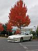 Car pictures that make you DROOL...-autaum-supra.jpg