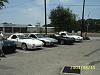 Tampa meet!-tm3.jpg