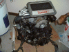 Ok...I got pics-dscf0010_11.gif