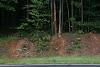 Saturdays In Raleigh, Nc-img_8505.jpg