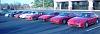 Lets go to lunch in MURFREESBORO-dsc00843.jpg