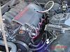 I gained 15whp!!!!-dsc05431.jpg