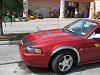 only in miami-picture-1173.jpg