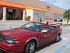 only in miami-picture-1175.jpg