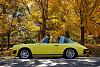 Old guys with 12As club meeting-porsche-yellow-leaves.jpg