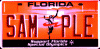 Official Jacksonville RX-7 Locator-florida_special_olympic.gif