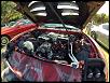 10th Annual Markham Park 2014 Meet (Pics Thread)-image-1996703907.jpg