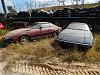 Mazmart Rotary Celebration II 10/15/2016-dscn8854.jpg