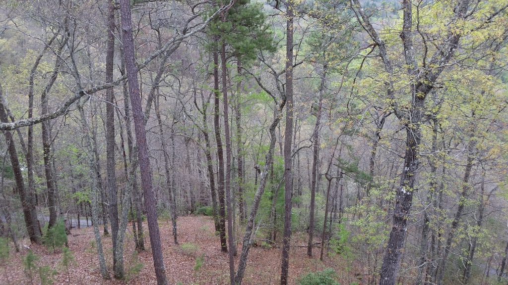 Name:  view3_zpsjotaxruj.jpg
Views: 58
Size:  434.6 KB